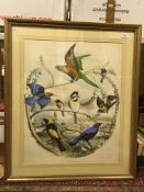 AFTER EDOUARD TRAVIES (1809-1868) "Oiseaux d'Europe", chromolithograph with key,