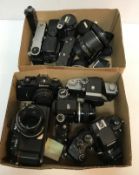 A collection of six various Nikon cameras to include an F4, F601, EM, FF2 and F-301,