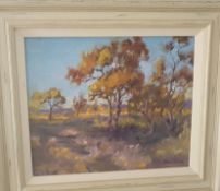 Painting by local artist Nola Tegel ''Evening in Quilpie'' Outback Queensland. 40cm x 36cm.