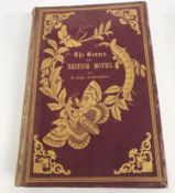 One volume H NOEL HUMPHREYS "The Genrea of British Moths", published T J Orman,