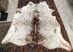 Taxidermy - A brown and white speckled Cow hide,