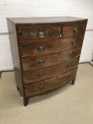 A 19th Century mahogany and ebony strung bow fronted chest of two short over four long graduated