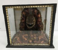 Taxidermy - a stuffed and mounted Pike head with open mouth,