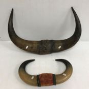 Taxidermy - A pair of Gaur Bison horns, 60 cm long,