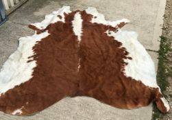 Taxidermy - A brown and cream cow hide rug ,