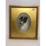 EARLY 20TH CENTURY ENGLISH SCHOOL "Jack Russell Terrier" a portrait study, head only, oval, pastel,