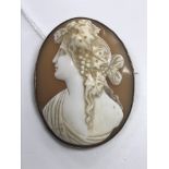 A Victorian carved shell cameo brooch in yellow metal mount