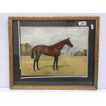 ISAAC CULLIN "Bayardo", study of a racehorse, watercolour, signed and dated 1908 bottom right, 26.