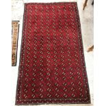 A Turkoman rug,