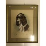 MARJORIE COX "Bonnie", a study of a Spaniel, head and shoulders, charcoal and pastel,