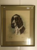 MARJORIE COX "Bonnie", a study of a Spaniel, head and shoulders, charcoal and pastel,