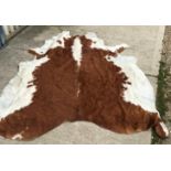 Taxidermy - A brown and cream cow hide r