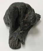 AFTER CAROL PEARCE "Study of male curled up", cold cast bronze, signed Carol Pearce/Pierce and No'd.