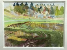 FIONA MCINTYRE "Woodland clearing with trees in background", mixed media, signed lower left,