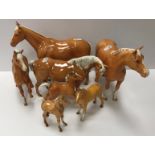 A collection of four Beswick Palomino horse figures together with three Palomino foal figures,