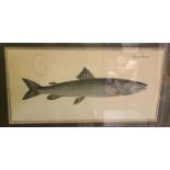 A set of five modern prints of various salmon and other fish 18 cm x 36 cm