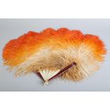 A 1930's shaded apricot to burnt orange ostrich feather fan, the monture an attractive mix of faux