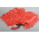 A large and flamboyant deep salmon ostrich feather fan, the long feathers frothy and curling towards