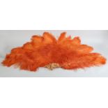 A very large and showy burnt orange ostrich feather fan, the exceptionally long feathers very