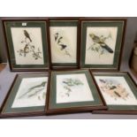 A set of Gould's tropical birds colour prints each one with title and details verso, 36cm by 28cm (