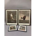 Engraved by Turner after Marshall, War and Peace, studies of cockerels, chromolithographs, 53cm by