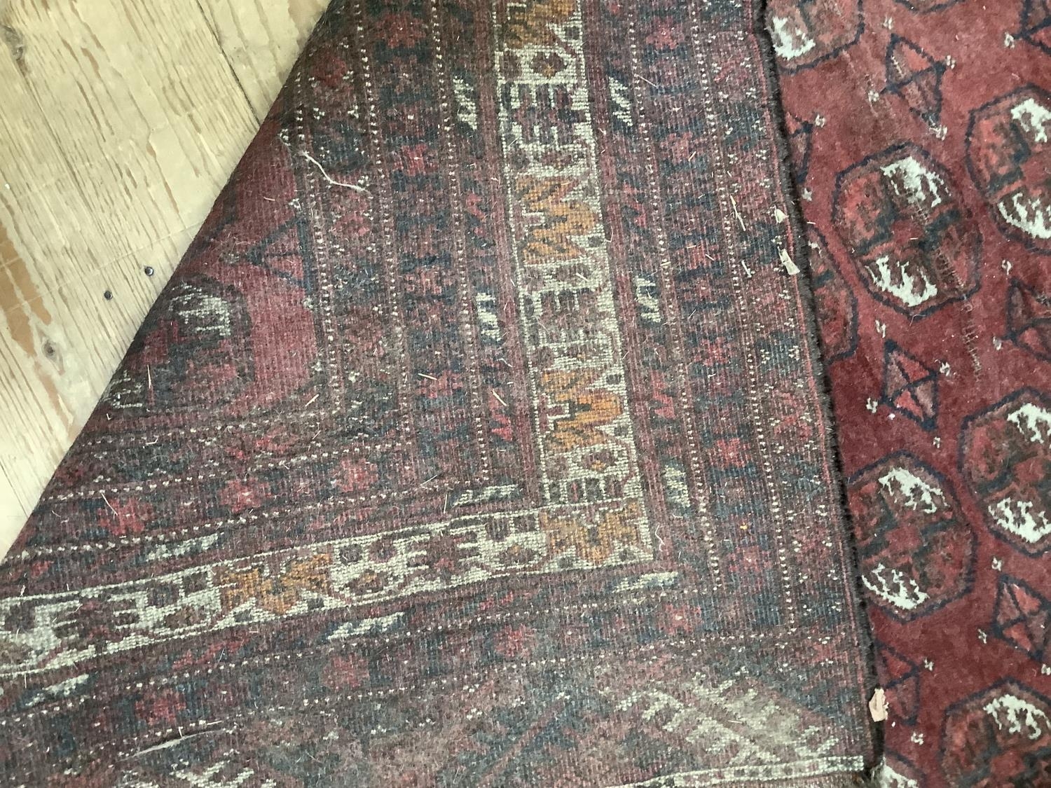 A Bokhara rug of crimson ground with four rows of elephant feet medallions within multiple - Image 4 of 4