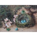 WILLIAM HENRY HUNT (1790-1864), Bird's nest and apple blossom, watercolour, unsigned 17cm x 23cm