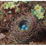 WILLIAM HENRY HUNT (1790-1864), Bird's nest and primroses, watercolour, unsigned, 28cm x 19cm