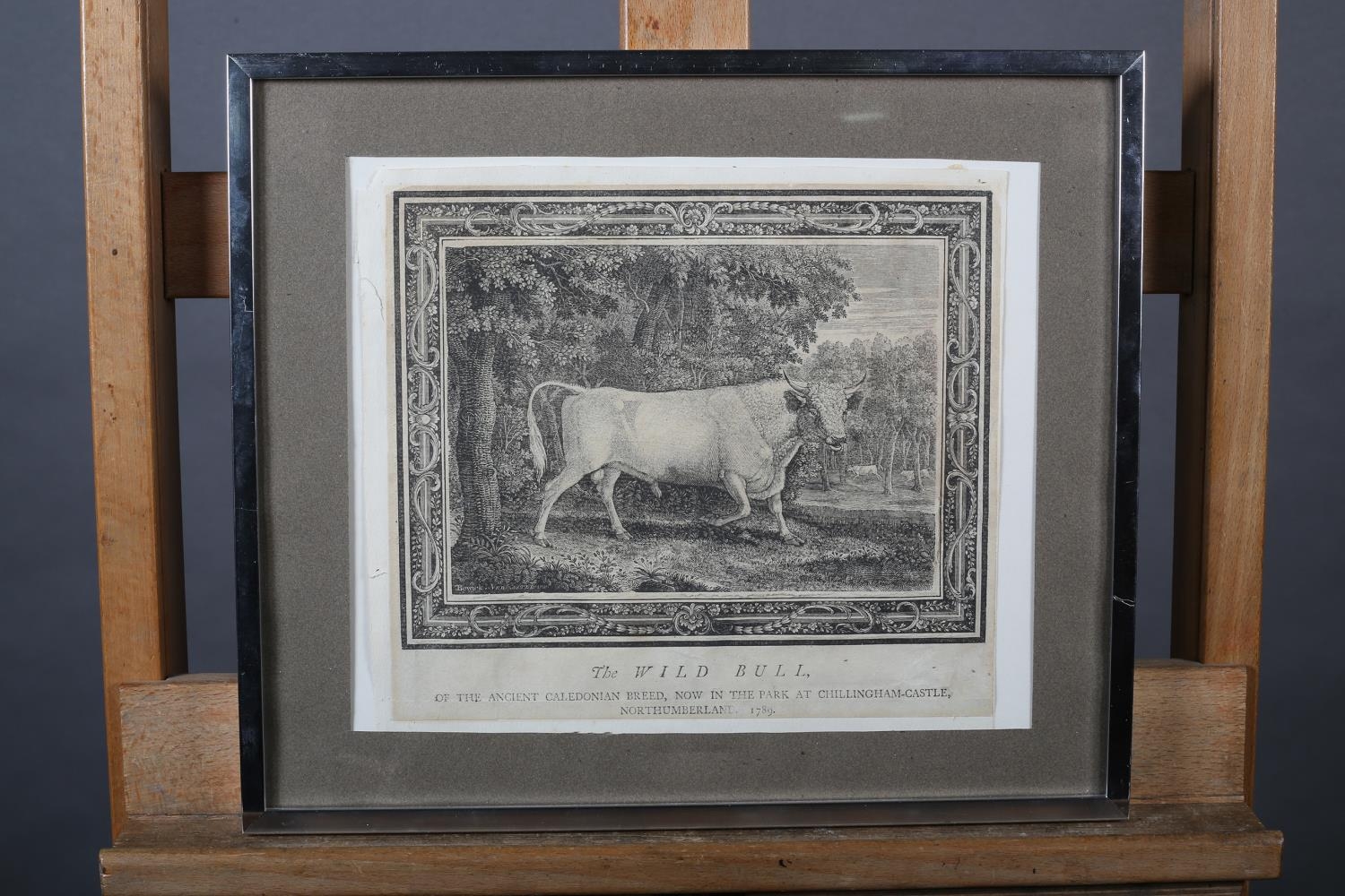 BY AND AFTER THOMAS BEWICK (1753-1828) 'THE WILD BULL - of the Ancient Caledonian Breed, Now in - Image 2 of 8