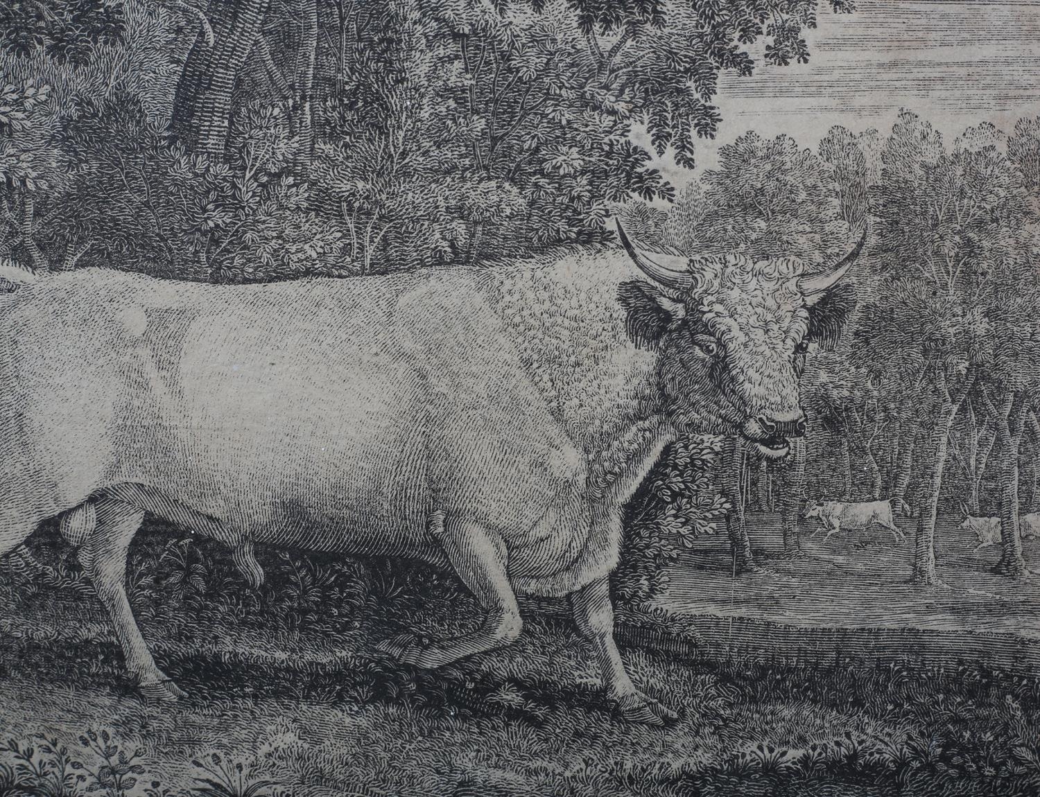 BY AND AFTER THOMAS BEWICK (1753-1828) 'THE WILD BULL - of the Ancient Caledonian Breed, Now in - Image 3 of 8