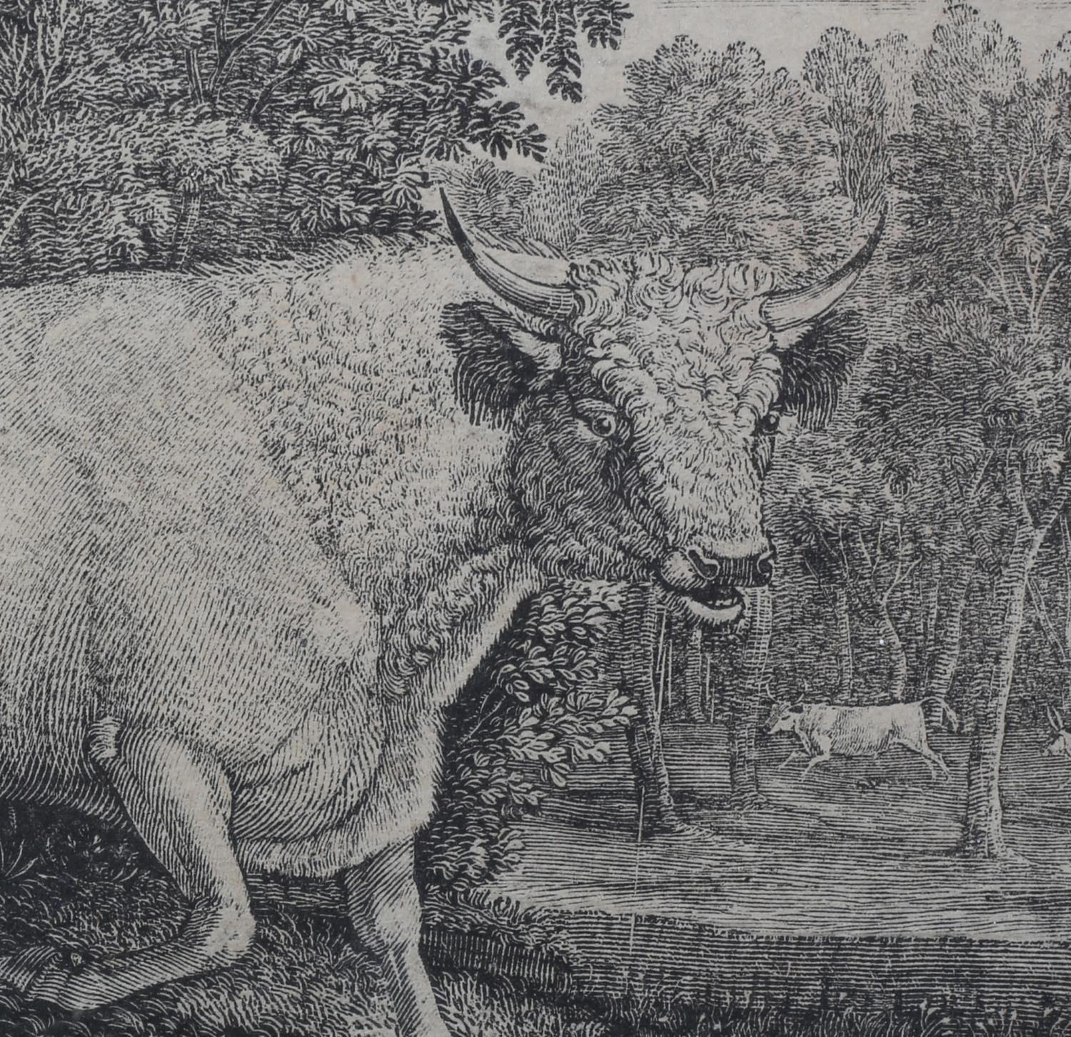 BY AND AFTER THOMAS BEWICK (1753-1828) 'THE WILD BULL - of the Ancient Caledonian Breed, Now in - Image 8 of 8