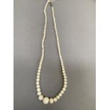 An early to mid 20th century coral necklace, the graduated spherical beads fastened with a 9ct