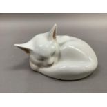 A Royal Copenhagen figure of a white cat curled up asleep, 14cm diameter approximately, impressed