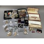 A collection of costume jewellery including brooches, necklaces and earrings