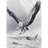 ARR Leslie Gilbert Illingworth (1902-1979) 'The Vulture of the Sea', pen and ink, graphite