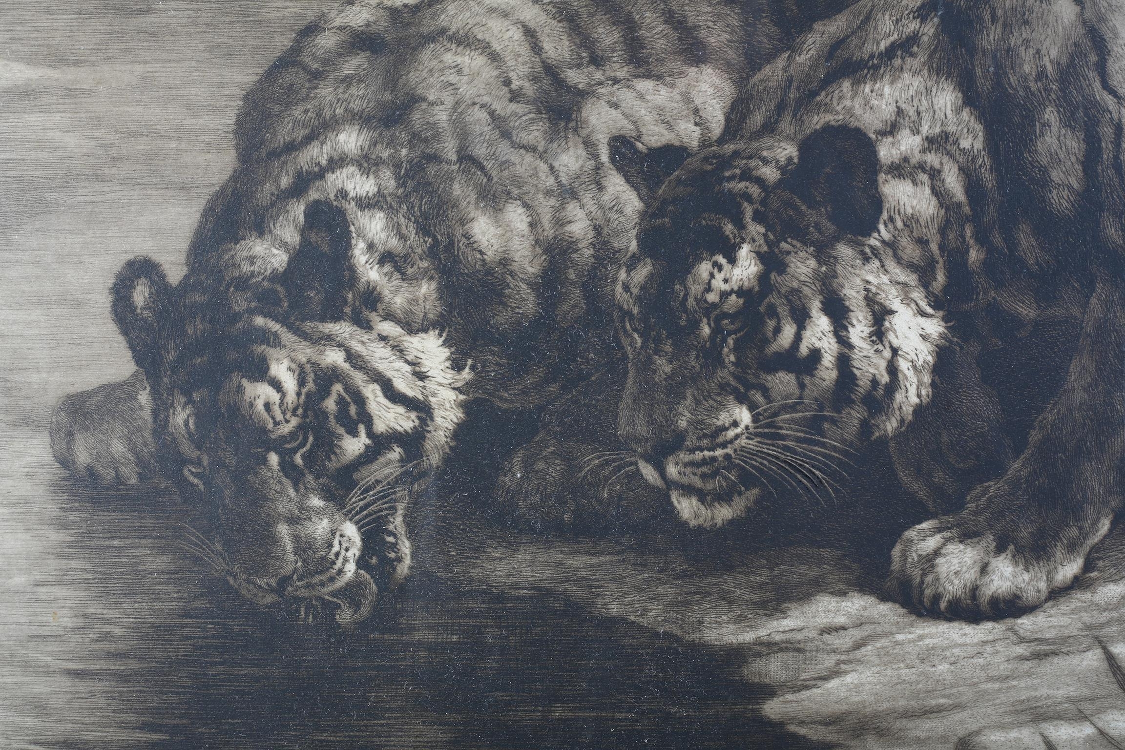 BY AND AFTER HERBERT DICKSEE (1862-1942) 'THIRST', two tigers at the waterside, etching, signed in - Image 3 of 5