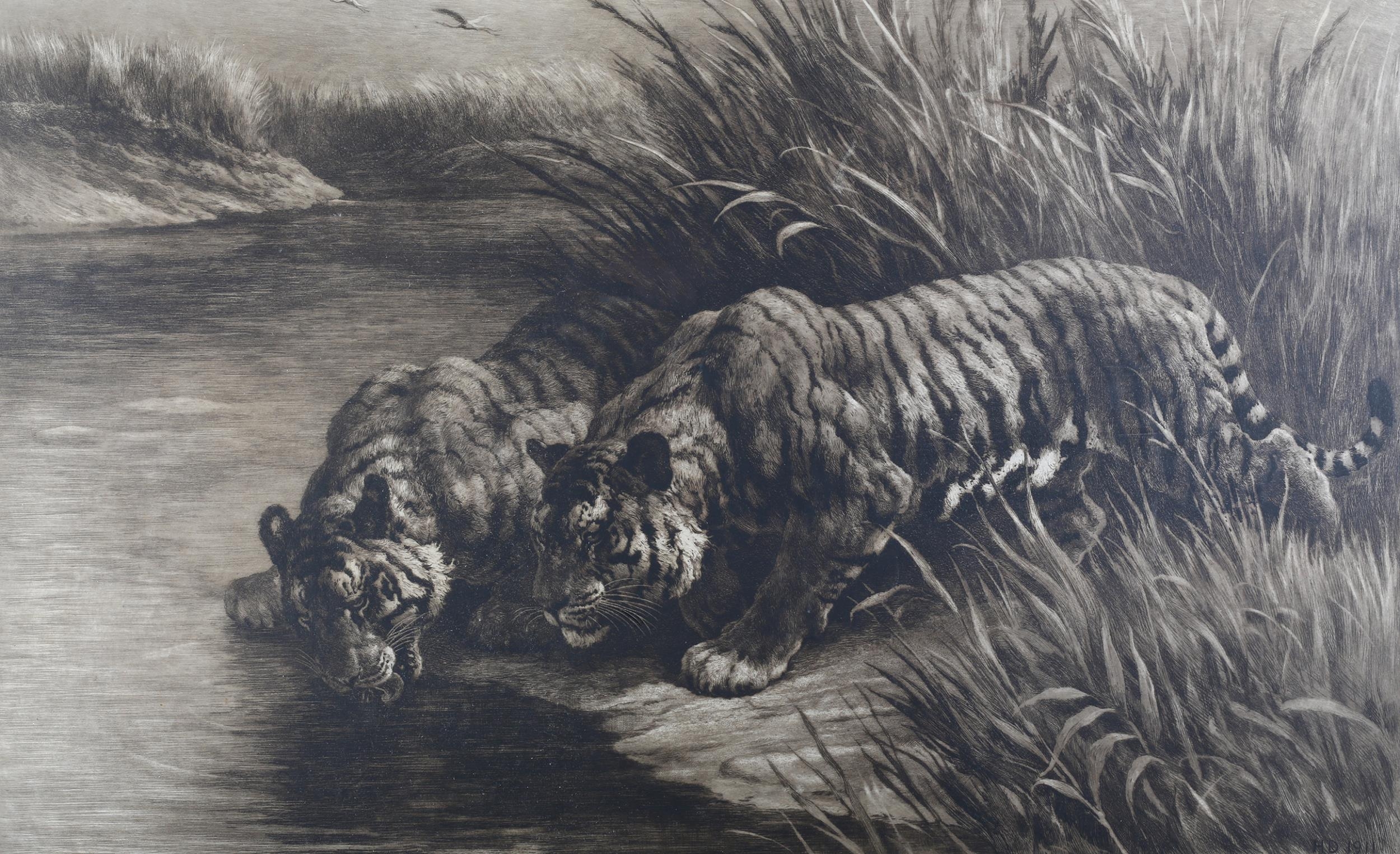 BY AND AFTER HERBERT DICKSEE (1862-1942) 'THIRST', two tigers at the waterside, etching, signed in