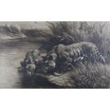 BY AND AFTER HERBERT DICKSEE (1862-1942) 'THIRST', two tigers at the waterside, etching, signed in