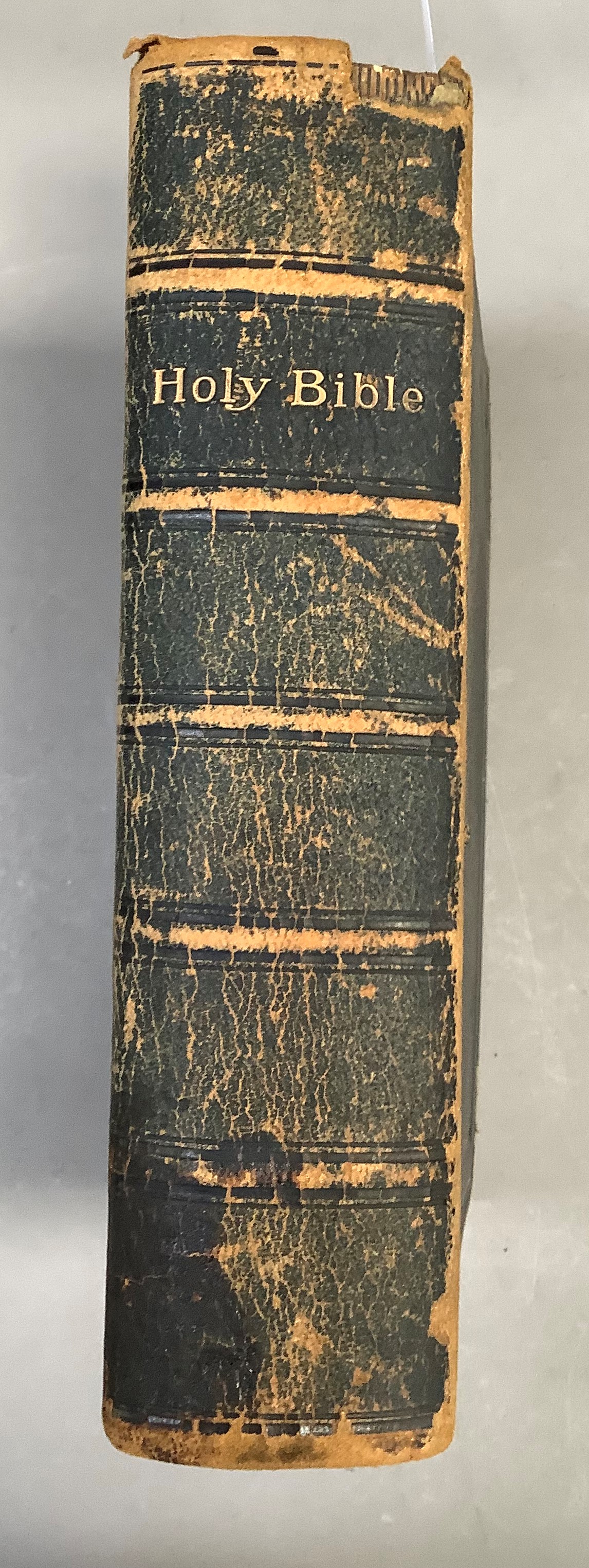 A leather bound family bible, 1885