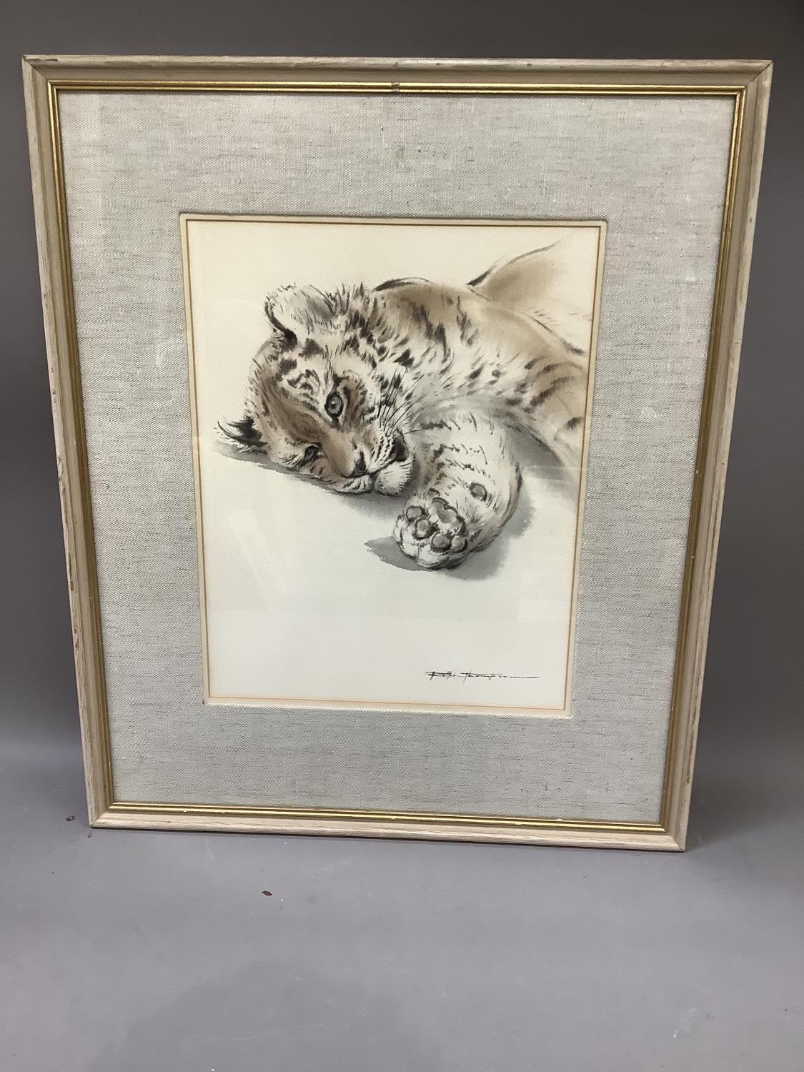 Ralph Thompson b.1931, Siberian tiger cub relaxing, watercolour, signed to lower right, 33cm by