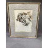 Ralph Thompson b.1931, Siberian tiger cub relaxing, watercolour, signed to lower right, 33cm by