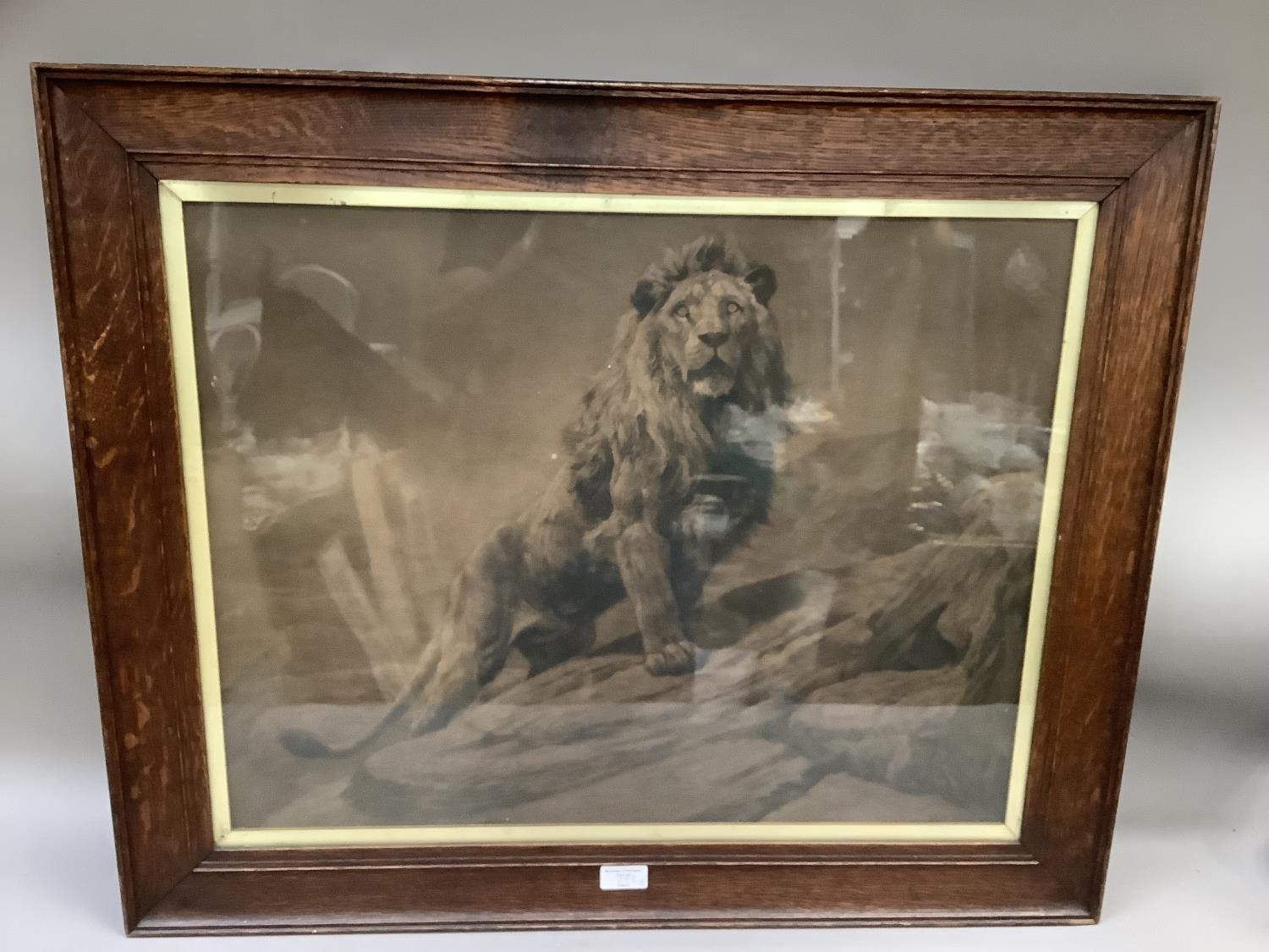 After Herbert Dicksee, The King, and study of a male and female lions, etchings in original oak