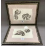 Ralph Thompson, b.1931, brown bear cub studies, a pair, watercolour, attribution verso, 17cm by 28cm