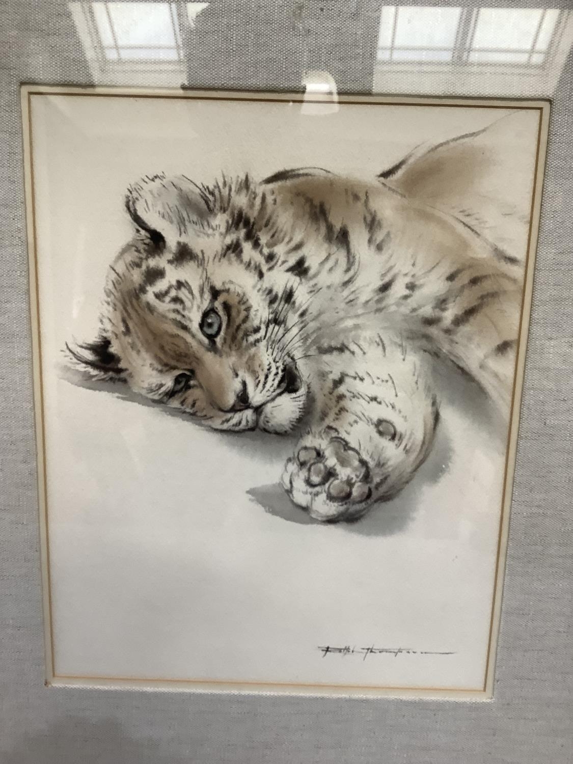 Ralph Thompson b.1931, Siberian tiger cub relaxing, watercolour, signed to lower right, 33cm by - Image 2 of 3