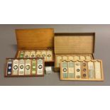 Two boxes of mounted and clear microscope slides, one by Newton & Co, 3 Fleet Street, Temple Bar,