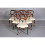 A SET OF SIX VICTORIAN ROSEWOOD DINING CHAIRS the open waisted backs leaf carved with conforming tie