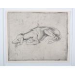 ARR Mike Moor (b.1966), Resting Greyhound, drypoint etching, 15cm x 18cm