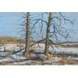 ARR R A H Craig, Mid 20th Century Scottish, February sunshine, winter trees and melting snow, oil on