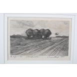 ARR Emerson Mayes (b.1972), 'Small Copse' drypoint etching, no. 1/6, titled, signed and dated