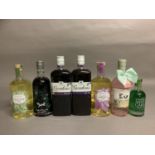 Seven bottles Gin based liqueur/flavoured Gin: two 70cl Gordon's Sloe Gin 26% (one damaged label),